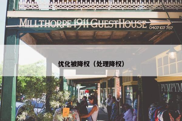 优化被降权（处理降权）