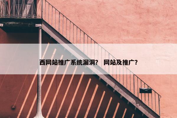 西网站推广系统漏洞？ 网站及推广？