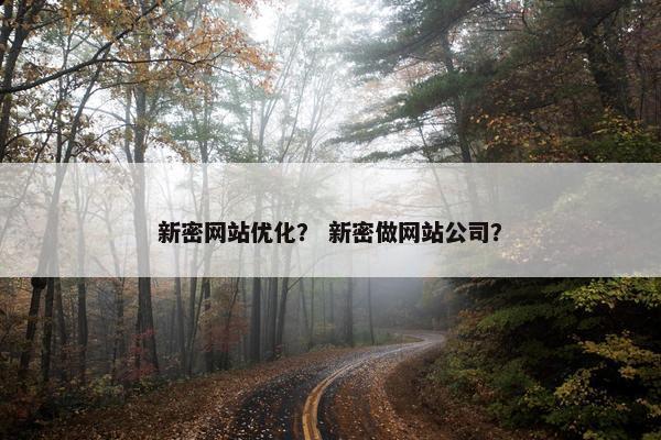 新密网站优化？ 新密做网站公司？