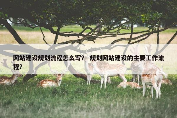 网站建设规划流程怎么写？ 规划网站建设的主要工作流程？