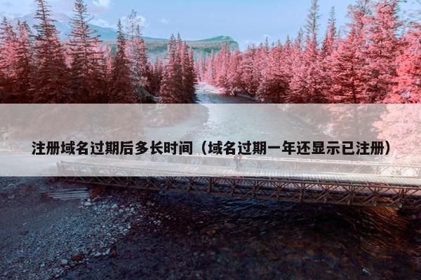 注册域名过期后多长时间（域名过期一年还显示已注册）