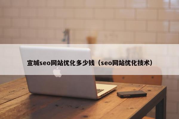 宣城seo网站优化多少钱（seo网站优化技术）