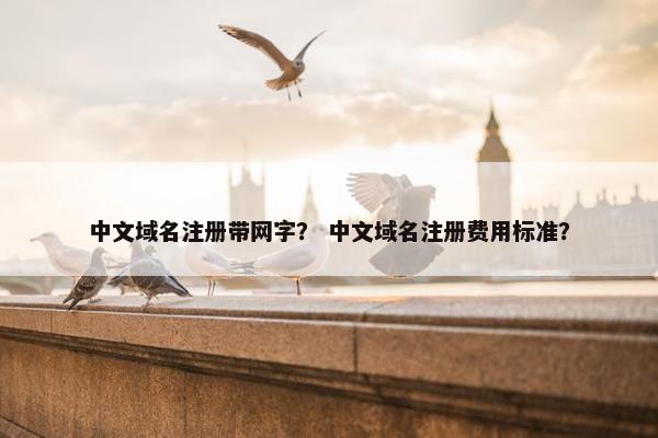 中文域名注册带网字？ 中文域名注册费用标准？