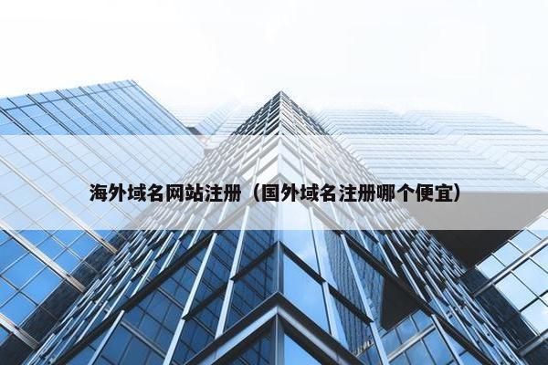 海外域名网站注册（国外域名注册哪个便宜）