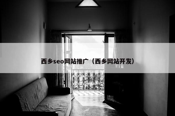 西乡seo网站推广（西乡网站开发）