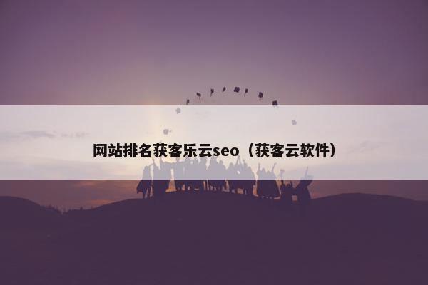 网站排名获客乐云seo（获客云软件）