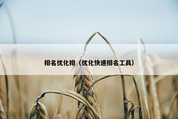 排名优化排（优化快速排名工具）