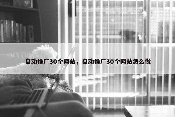 自动推广30个网站，自动推广30个网站怎么做