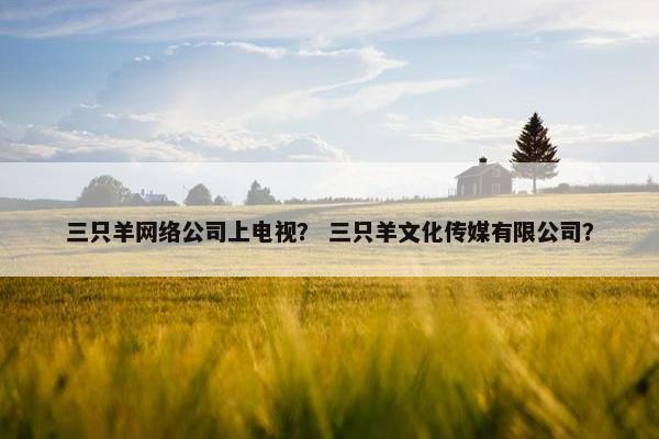 三只羊网络公司上电视？ 三只羊文化传媒有限公司？