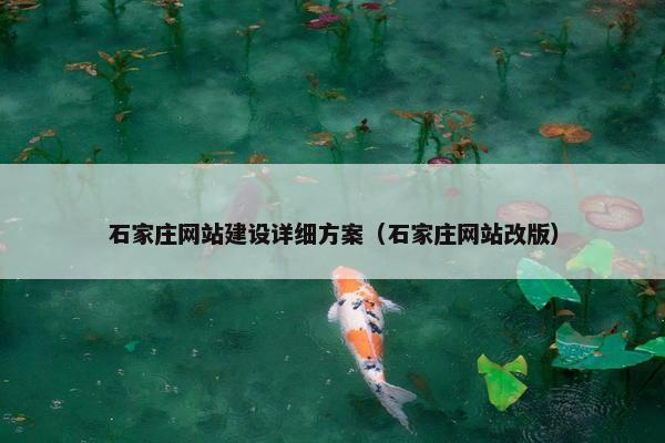 石家庄网站建设详细方案（石家庄网站改版）
