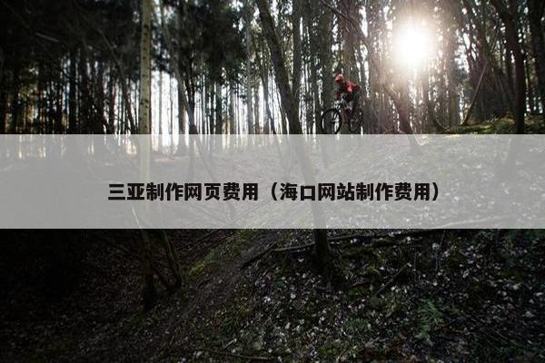 三亚制作网页费用（海口网站制作费用）