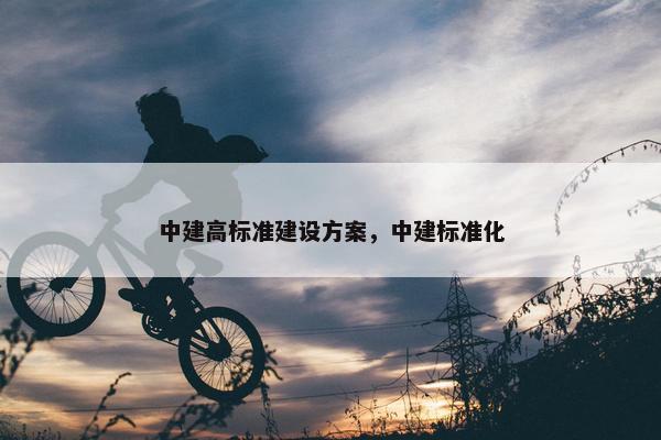 中建高标准建设方案，中建标准化