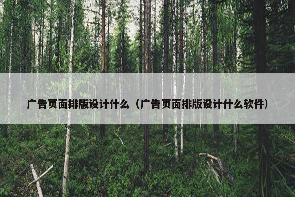 广告页面排版设计什么（广告页面排版设计什么软件）