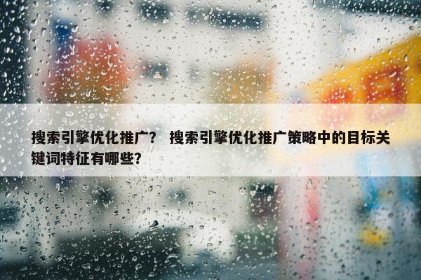 搜索引擎优化推广？ 搜索引擎优化推广策略中的目标关键词特征有哪些？