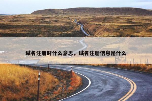 域名注册时什么意思，域名注册信息是什么