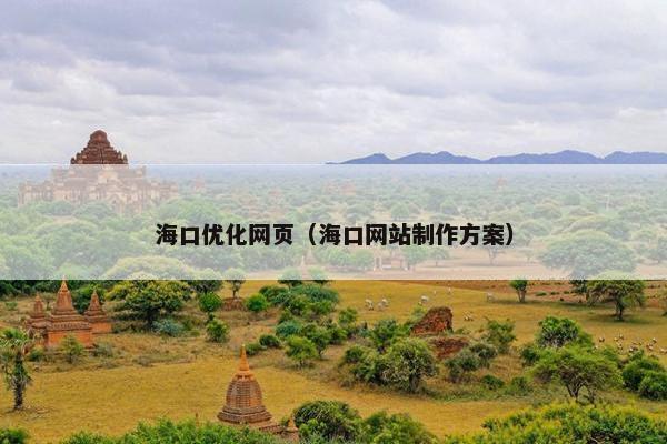 海口优化网页（海口网站制作方案）