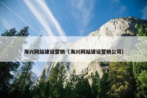 海兴网站建设营销（海兴网站建设营销公司）