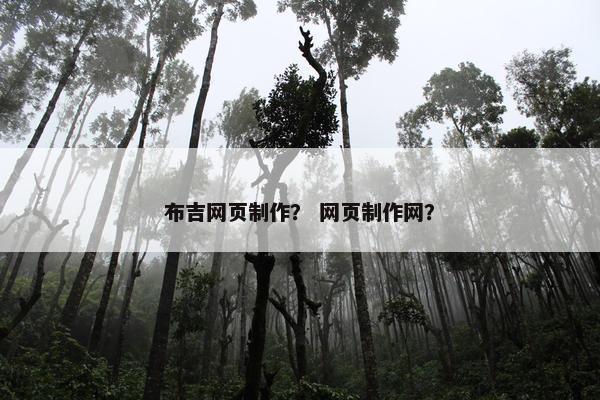 布吉网页制作？ 网页制作网？