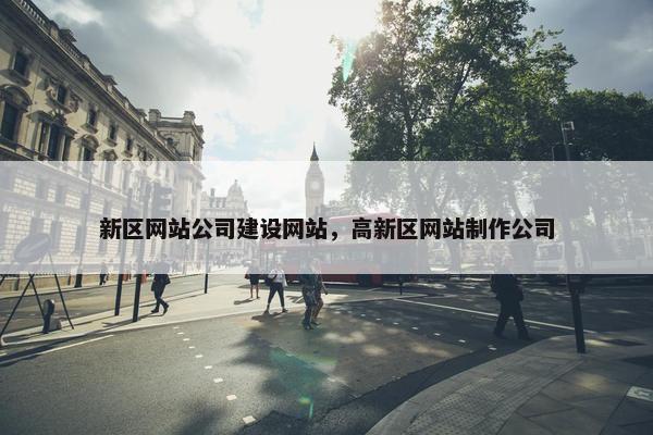 新区网站公司建设网站，高新区网站制作公司
