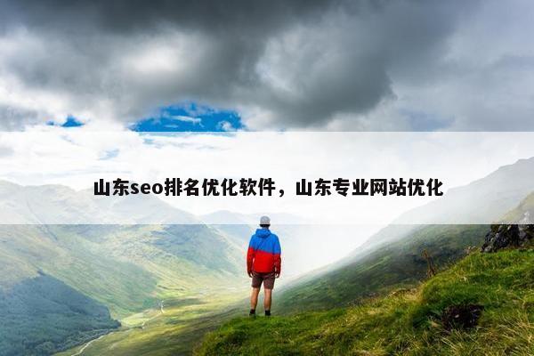山东seo排名优化软件，山东专业网站优化
