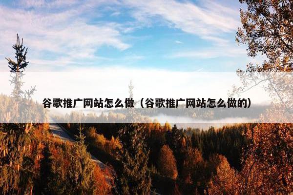谷歌推广网站怎么做（谷歌推广网站怎么做的）