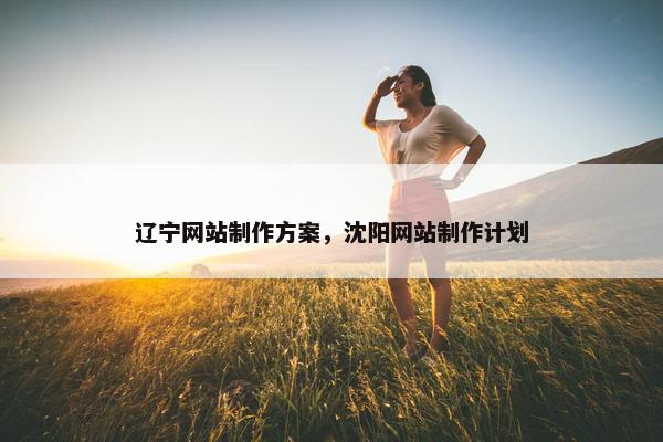 辽宁网站制作方案，沈阳网站制作计划
