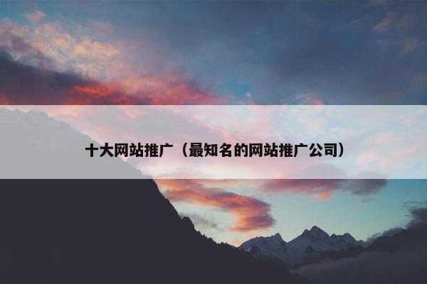 十大网站推广（最知名的网站推广公司）