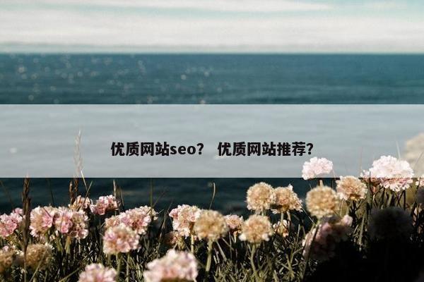 优质网站seo？ 优质网站推荐？
