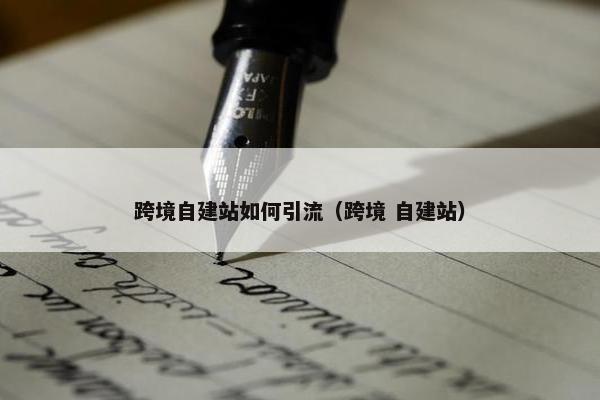 跨境自建站如何引流（跨境 自建站）