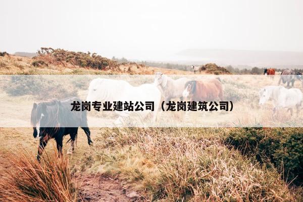 龙岗专业建站公司（龙岗建筑公司）