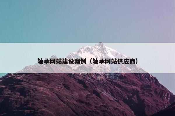 轴承网站建设案例（轴承网站供应商）