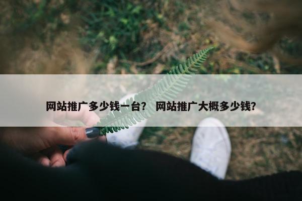 网站推广多少钱一台？ 网站推广大概多少钱？