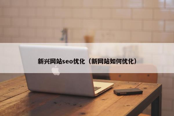 新兴网站seo优化（新网站如何优化）