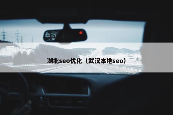 湖北seo优化（武汉本地seo）