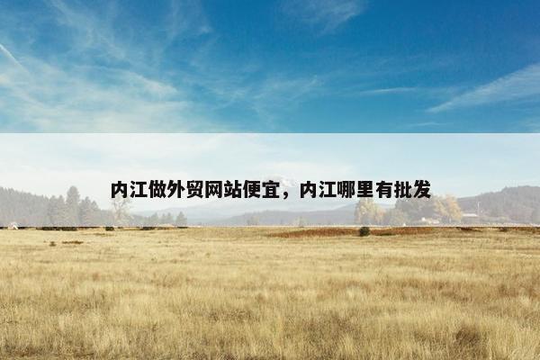内江做外贸网站便宜，内江哪里有批发