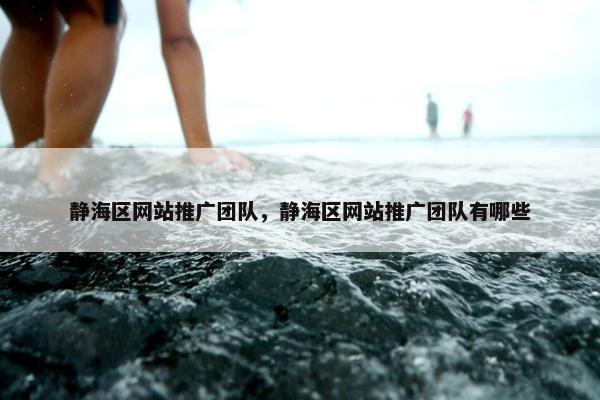 静海区网站推广团队，静海区网站推广团队有哪些