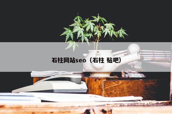 石柱网站seo（石柱 贴吧）