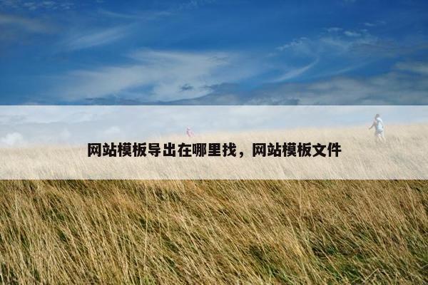 网站模板导出在哪里找，网站模板文件