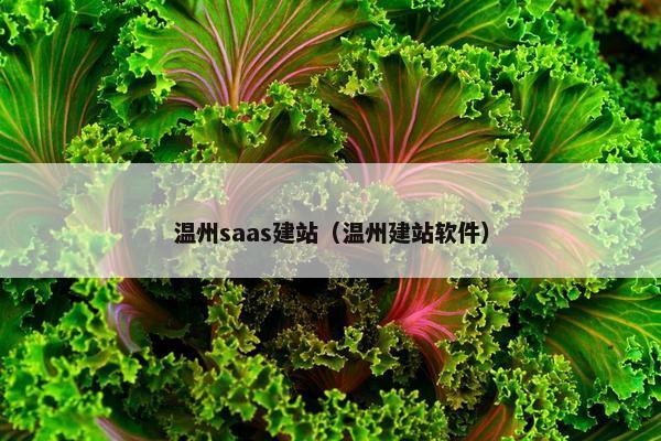 温州saas建站（温州建站软件）