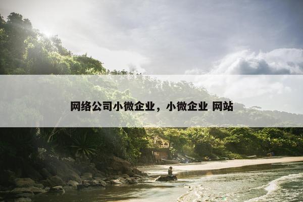 网络公司小微企业，小微企业 网站