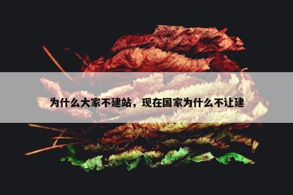 为什么大家不建站，现在国家为什么不让建