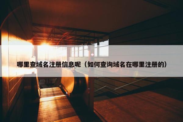 哪里查域名注册信息呢（如何查询域名在哪里注册的）