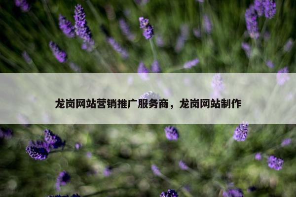龙岗网站营销推广服务商，龙岗网站制作