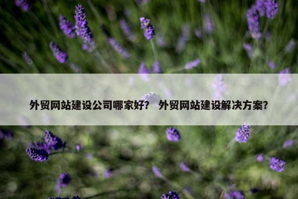 外贸网站建设公司哪家好？ 外贸网站建设解决方案？