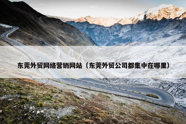 东莞外贸网络营销网站（东莞外贸公司都集中在哪里）