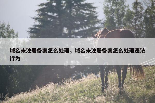 域名未注册备案怎么处理，域名未注册备案怎么处理违法行为