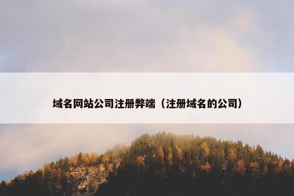 域名网站公司注册弊端（注册域名的公司）