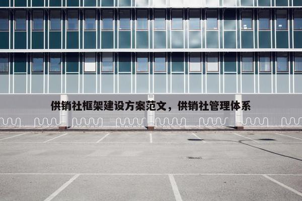 供销社框架建设方案范文，供销社管理体系